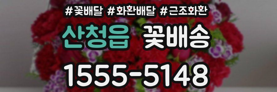 산청읍 꽃배송