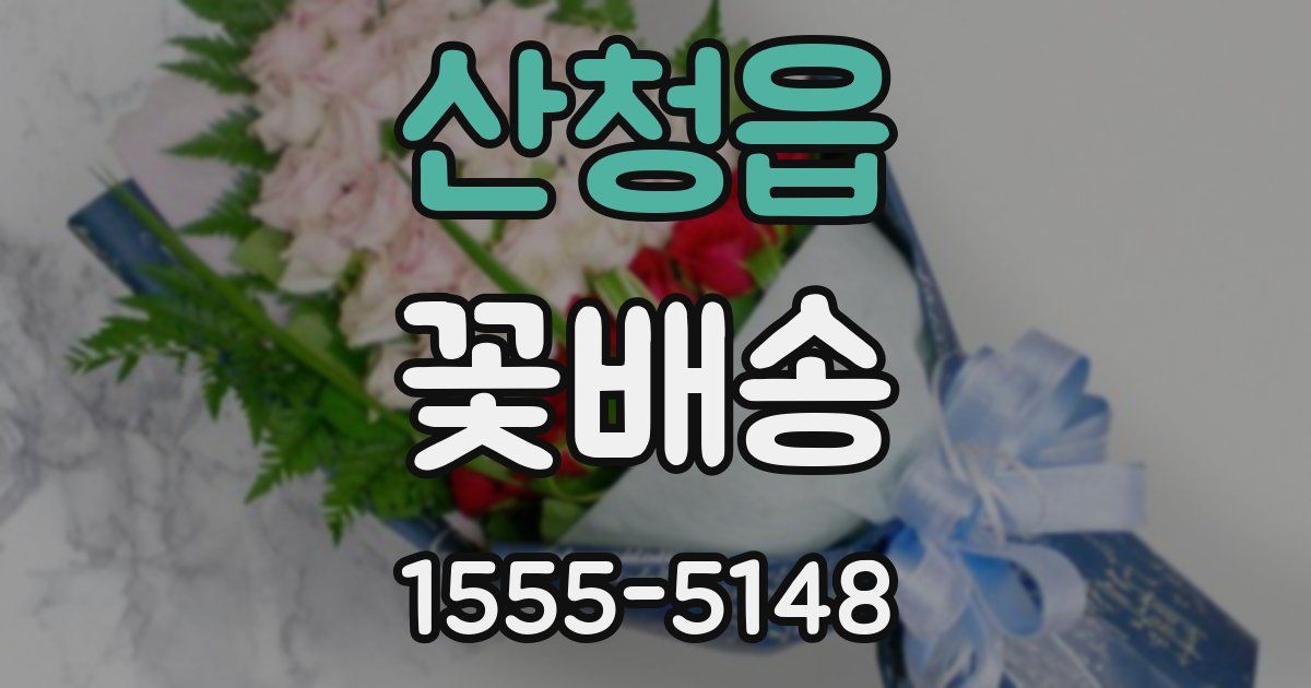 산청읍 꽃배송