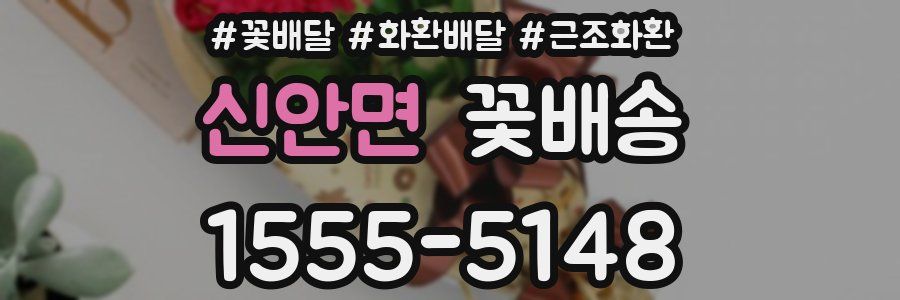 신안면 꽃배송