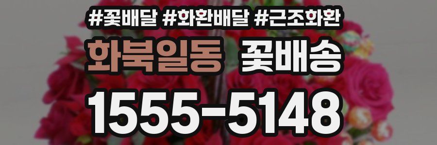 화북일동 꽃배송