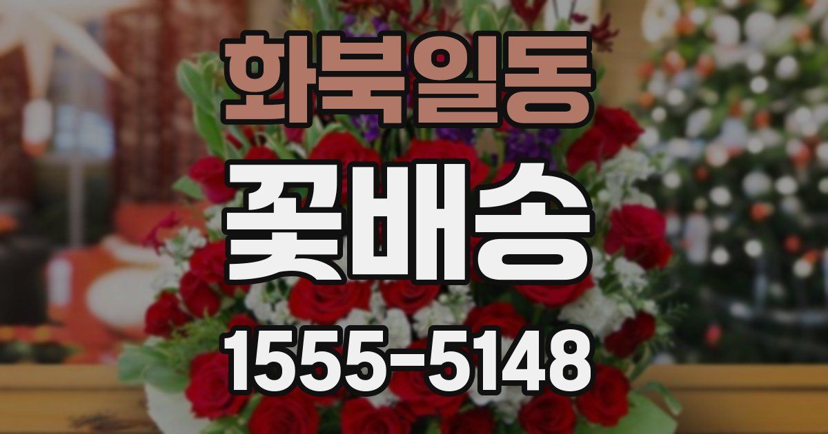 화북일동 꽃배송