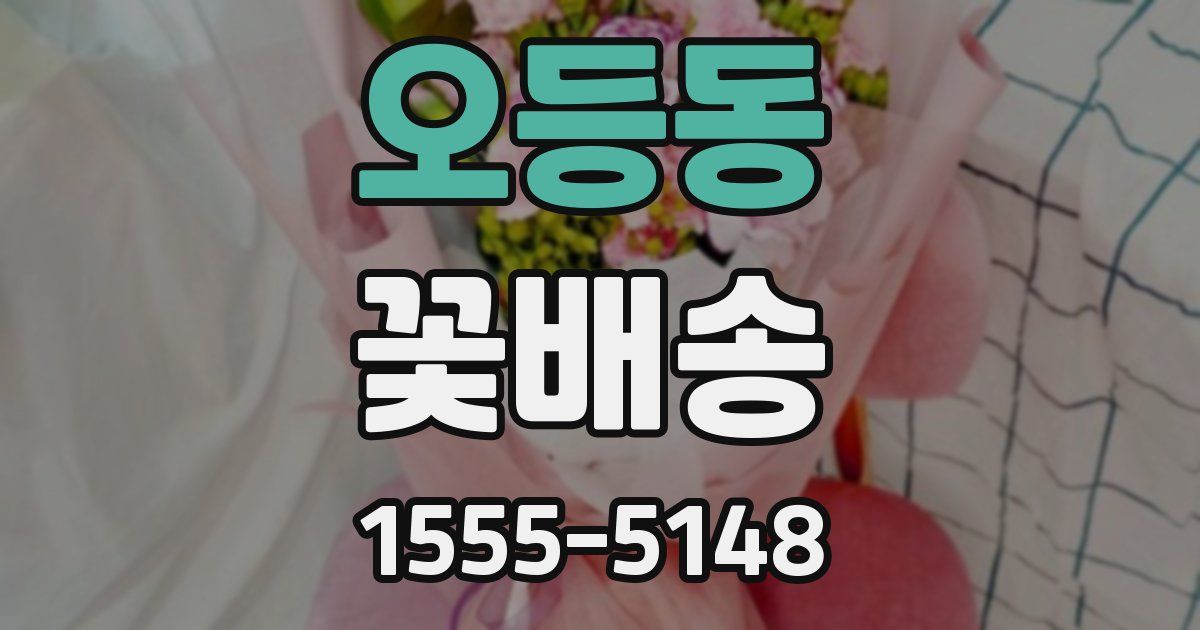 오등동 꽃배송