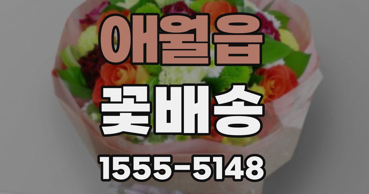 애월읍 꽃배송