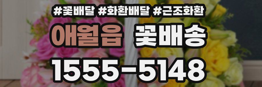 애월읍 꽃배송