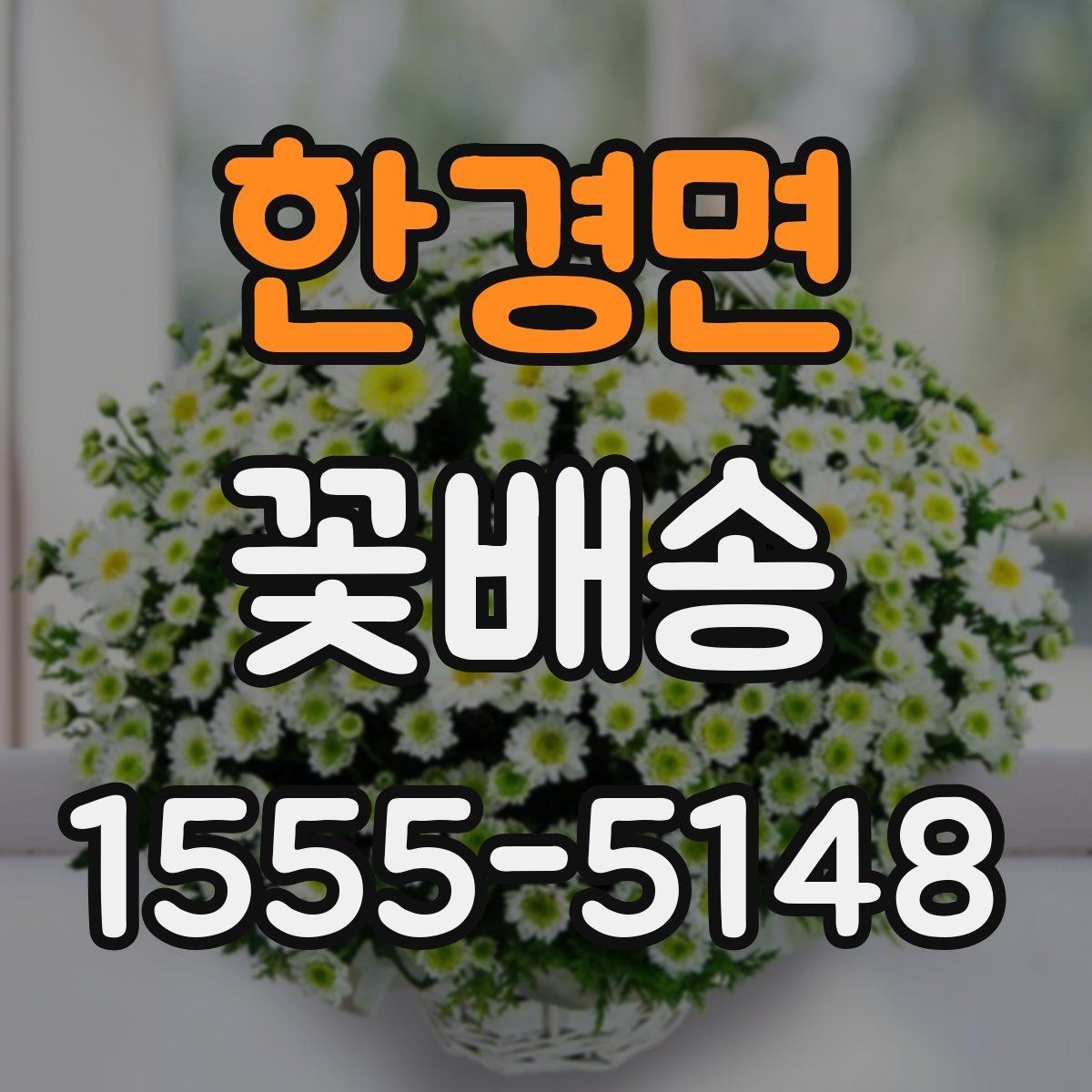 한경면 꽃배송