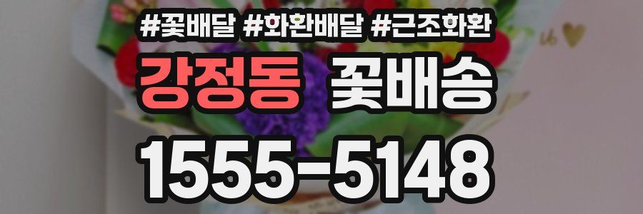 강정동 꽃배송