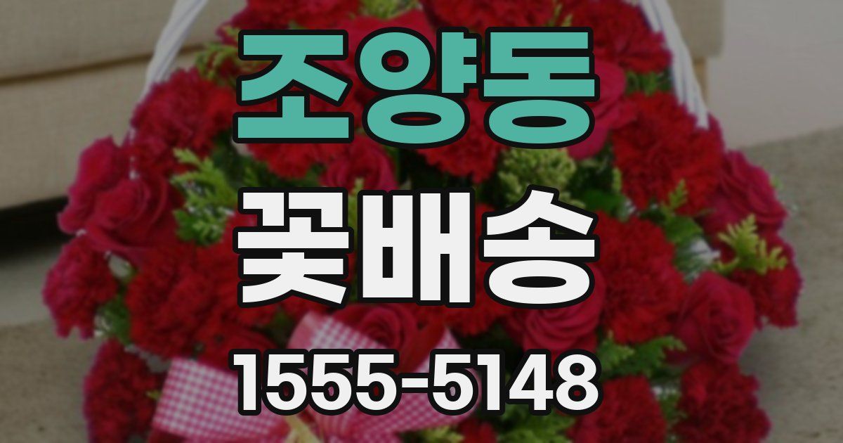 조양동 꽃배송