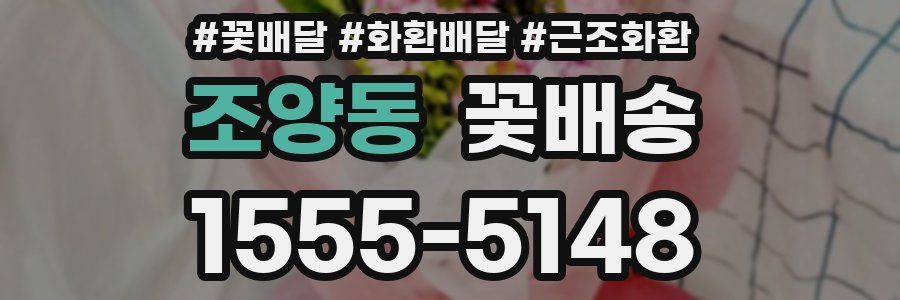 조양동 꽃배송