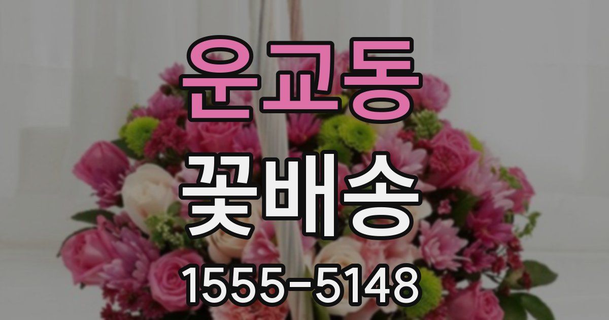 운교동 꽃배송