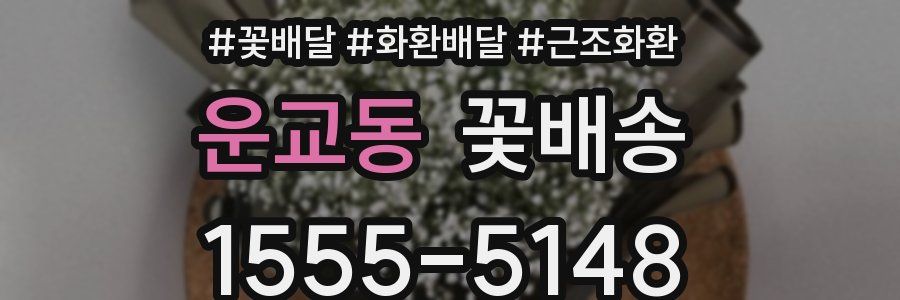 운교동 꽃배송