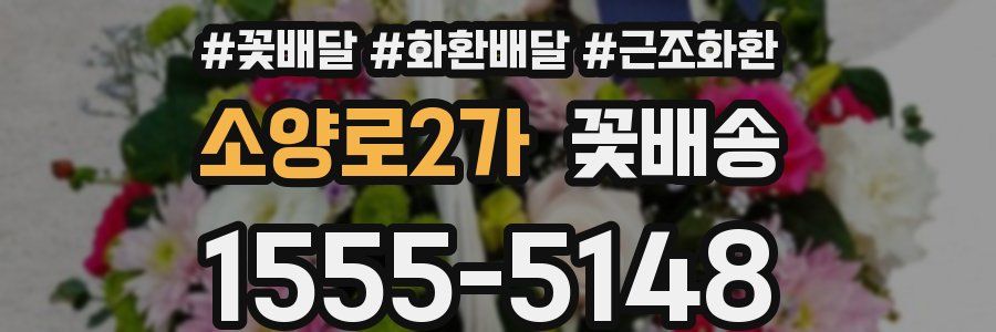 소양로2가 꽃배송