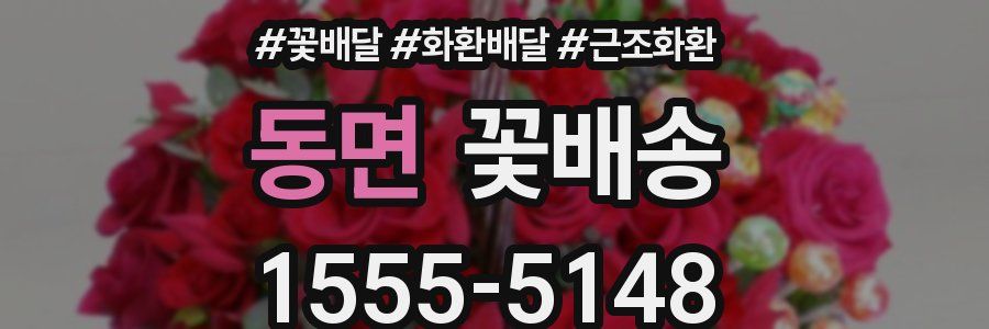 동면 꽃배송