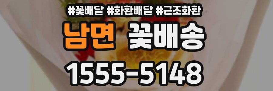 남면 꽃배송
