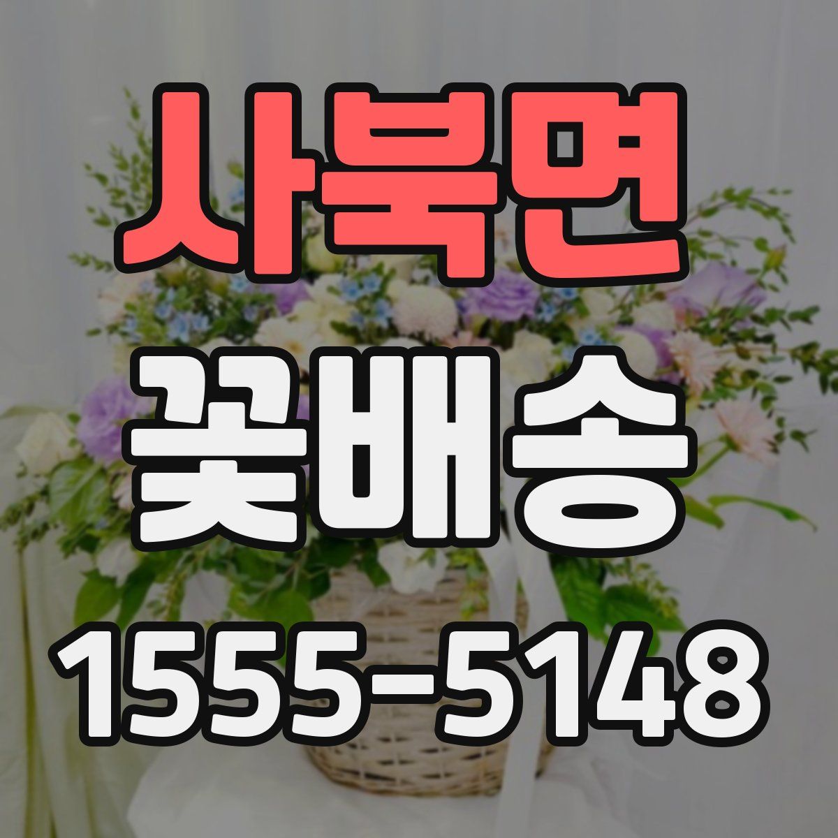 사북면 꽃배송
