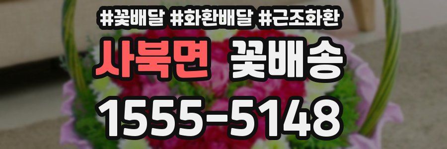 사북면 꽃배송