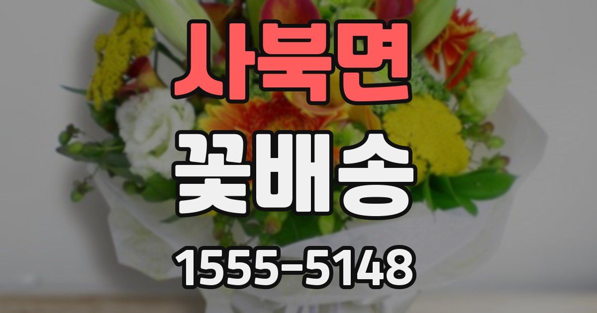 사북면 꽃배송