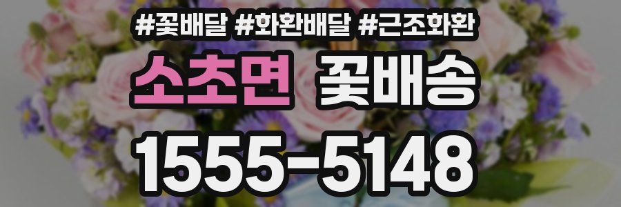 소초면 꽃배송