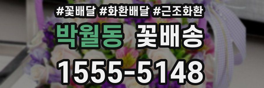 박월동 꽃배송