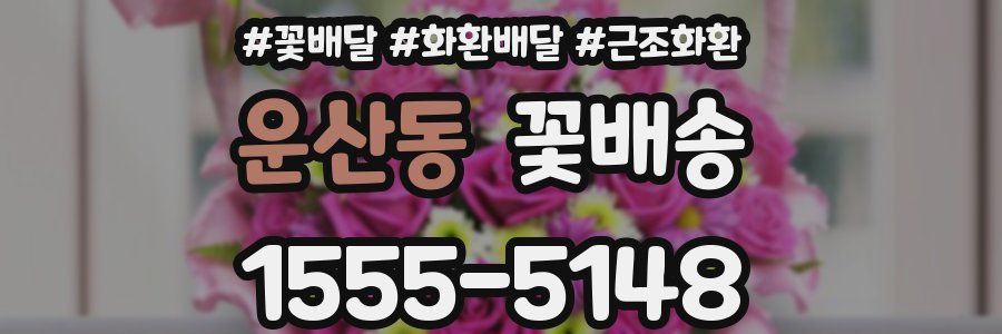 운산동 꽃배송