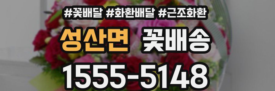 성산면 꽃배송