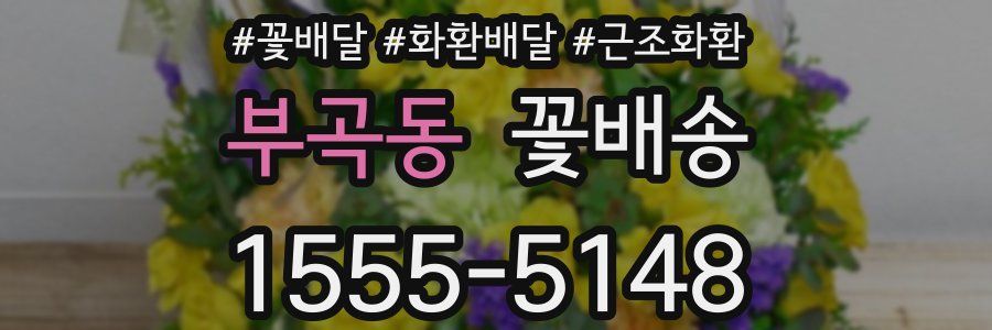 부곡동 꽃배송