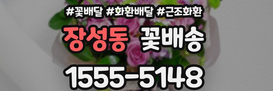 장성동 꽃배송