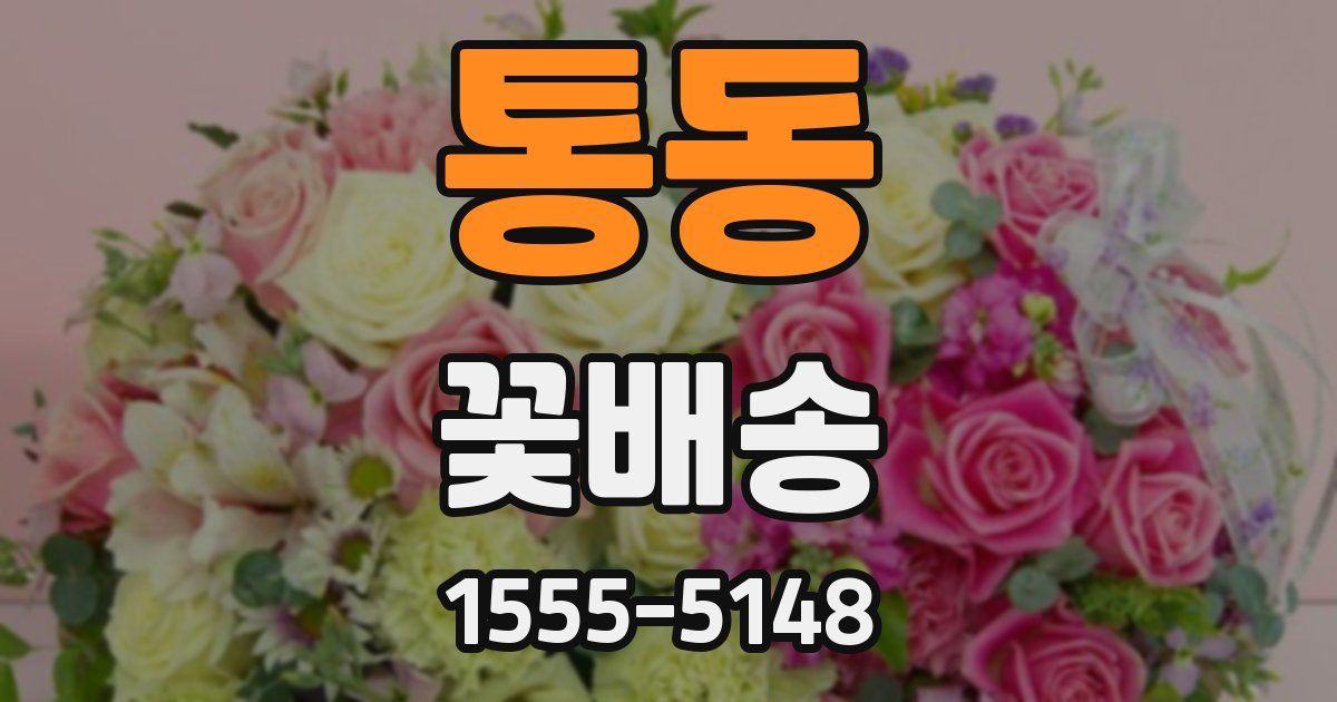 통동 꽃배송