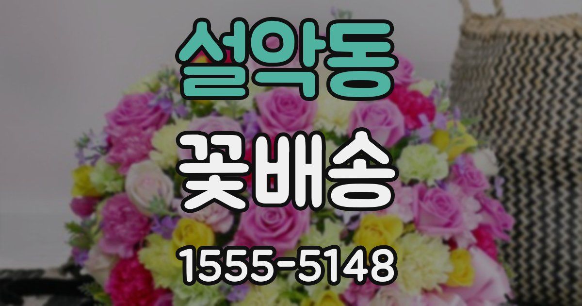 설악동 꽃배송