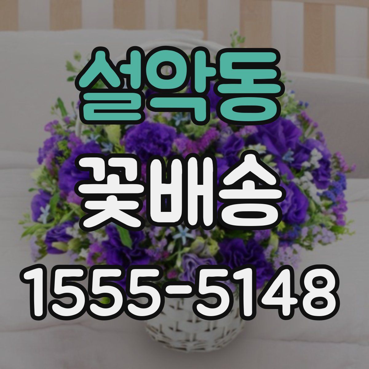 설악동 꽃배송