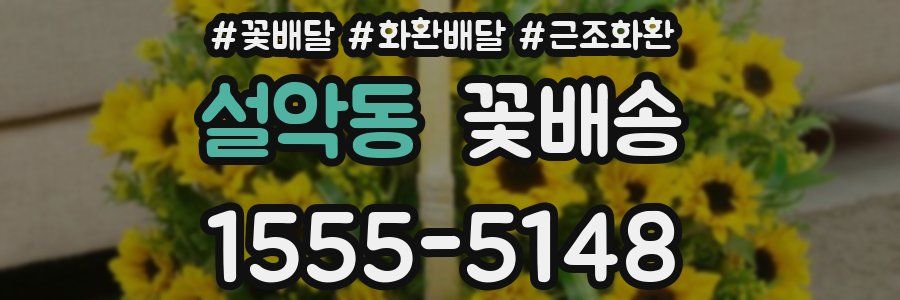 설악동 꽃배송