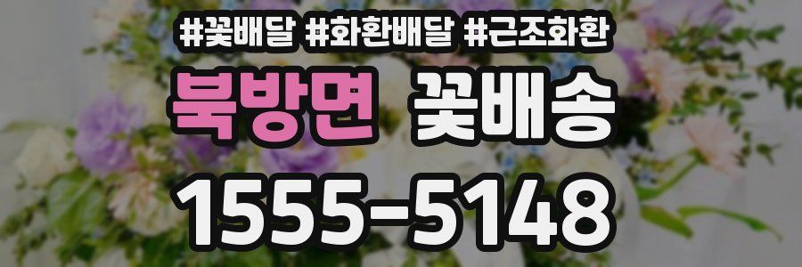 북방면 꽃배송
