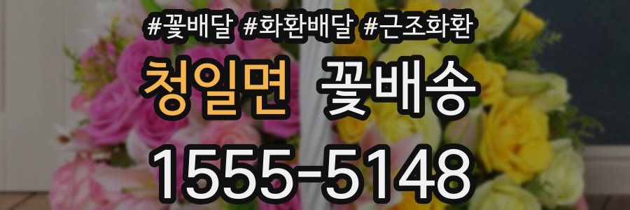 청일면 꽃배송