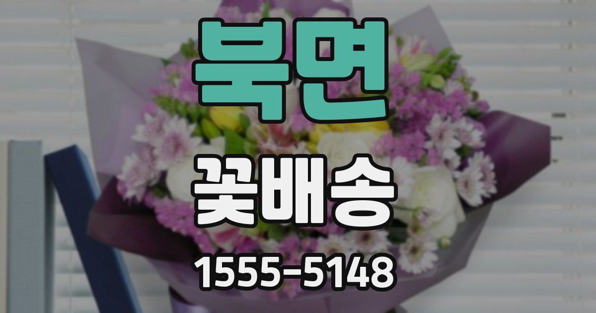 북면 꽃배송
