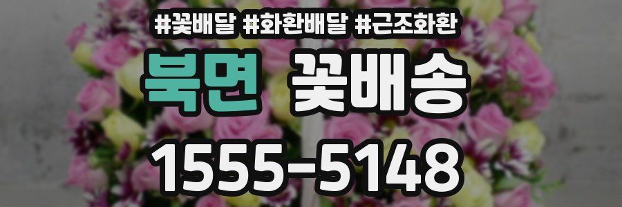 북면 꽃배송