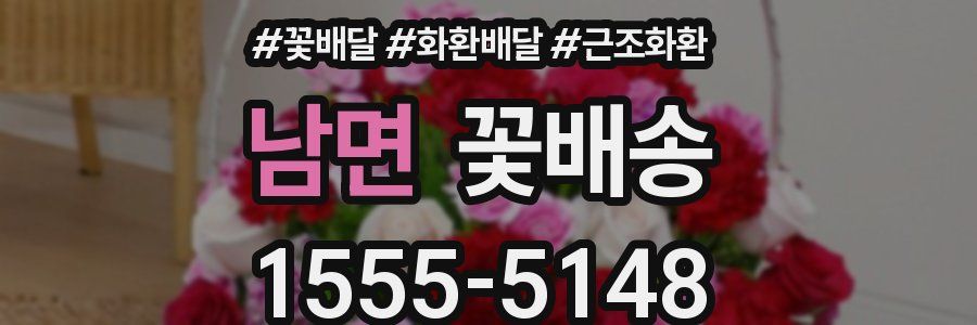 남면 꽃배송