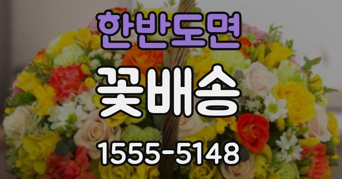 한반도면 꽃배송