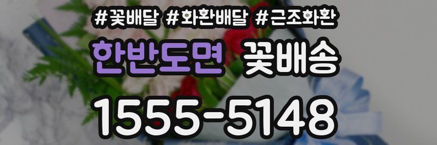 한반도면 꽃배송