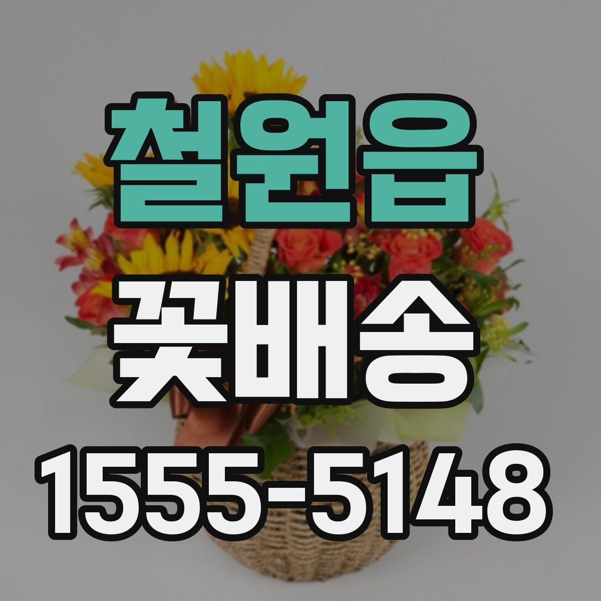 철원읍 꽃배송