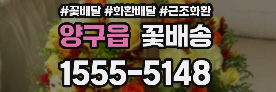 양구읍 꽃배송