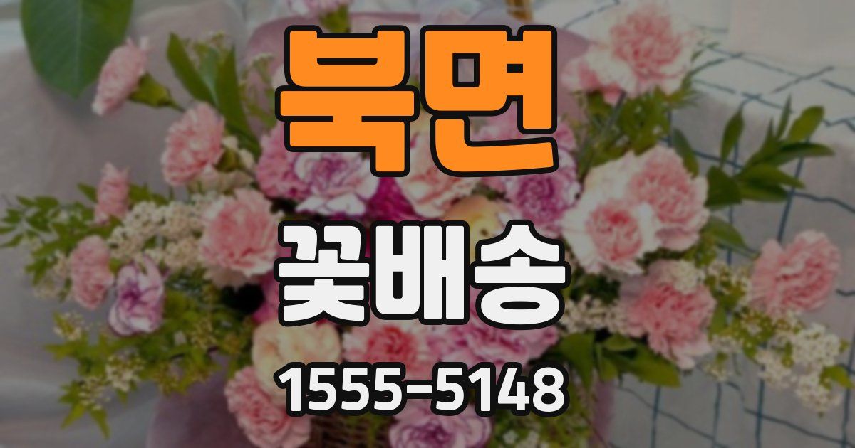 북면 꽃배송