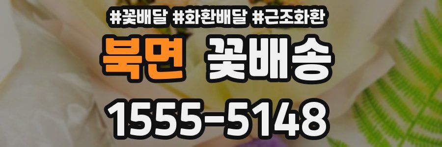 북면 꽃배송