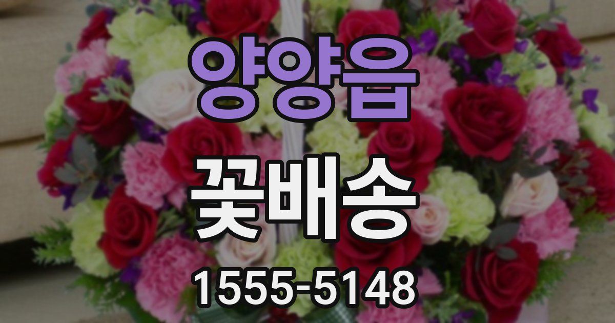 양양읍 꽃배송