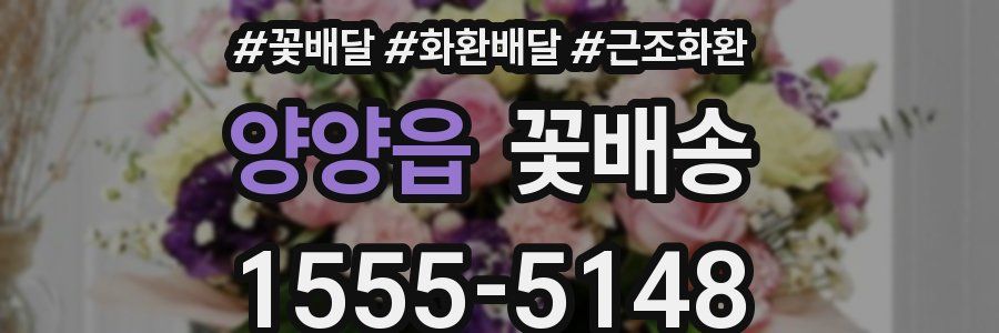 양양읍 꽃배송