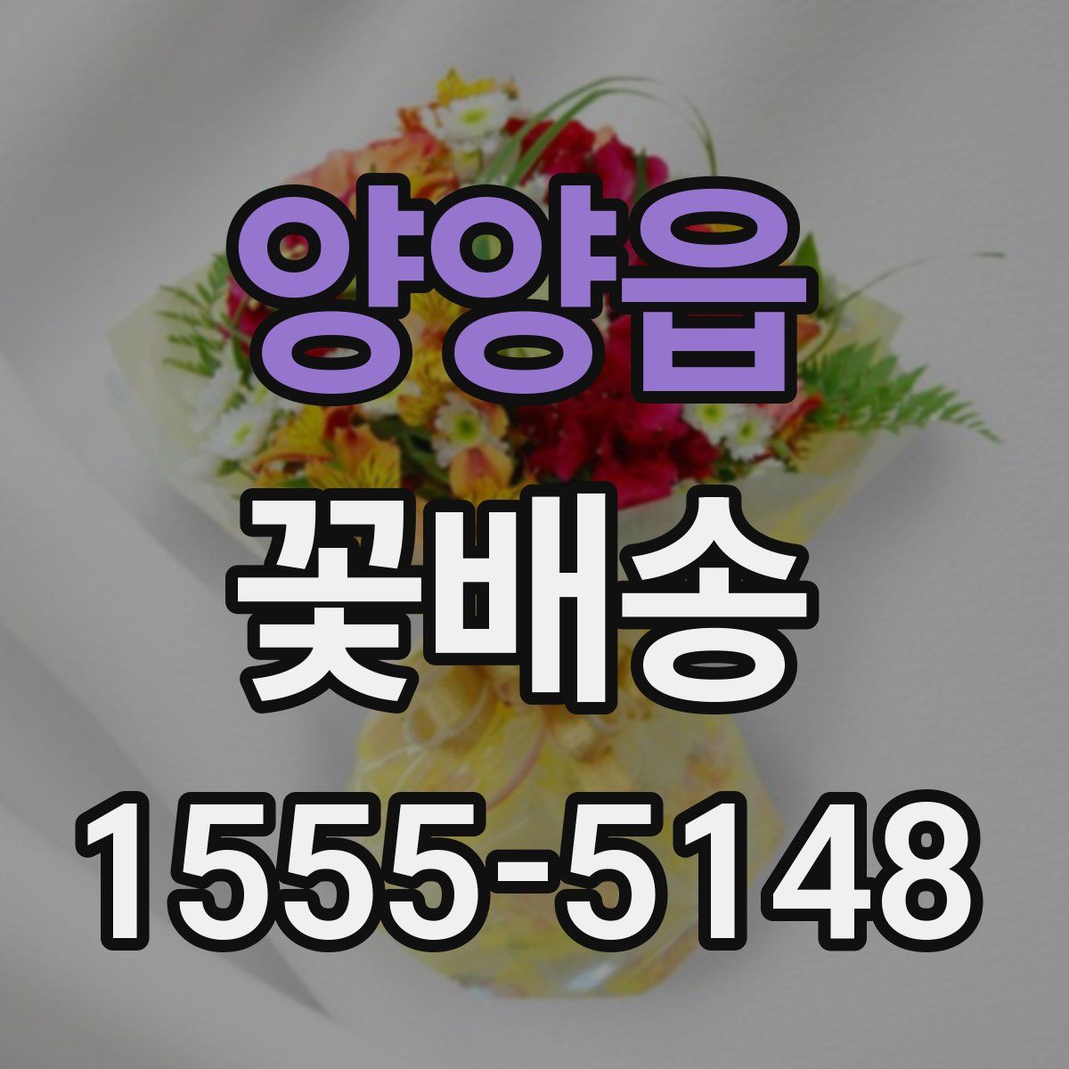 양양읍 꽃배송