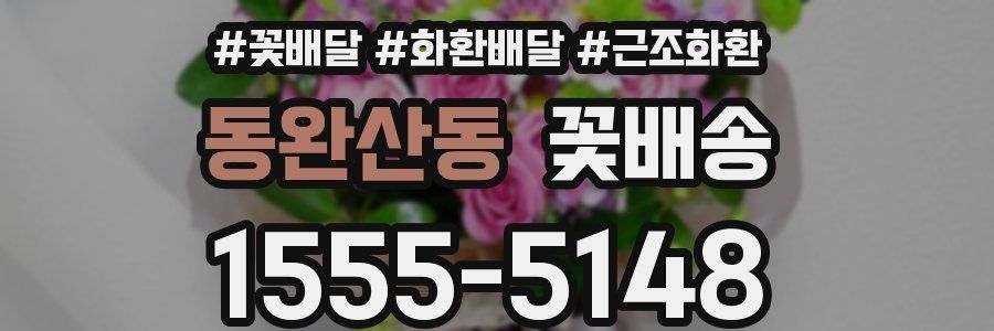 동완산동 꽃배송