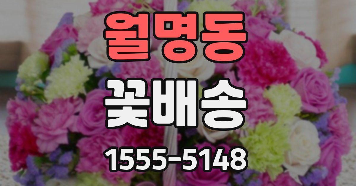 월명동 꽃배송