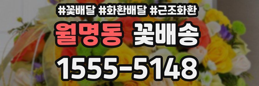 월명동 꽃배송