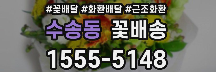 수송동 꽃배송