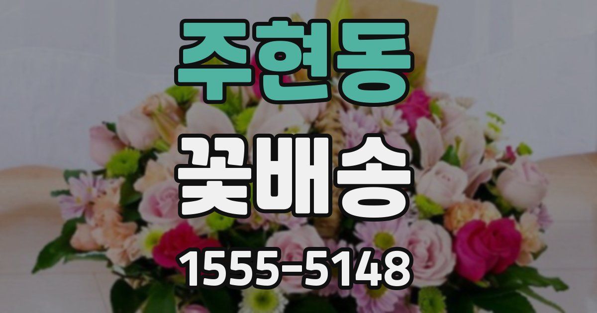 주현동 꽃배송