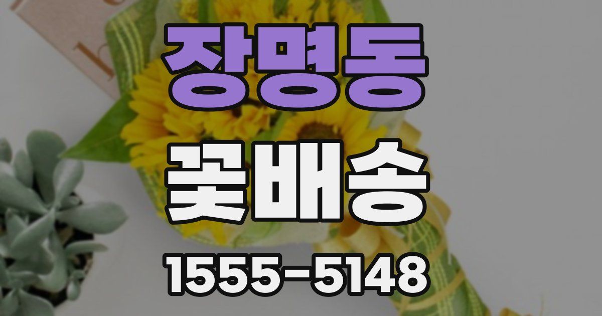 장명동 꽃배송
